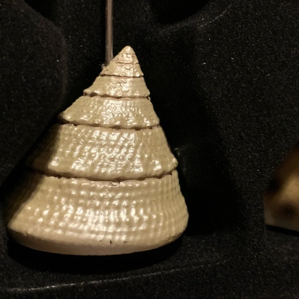 Pier 1 Home Studio Set of 3 Seashell Photo Holders Three Unique Picture Holder